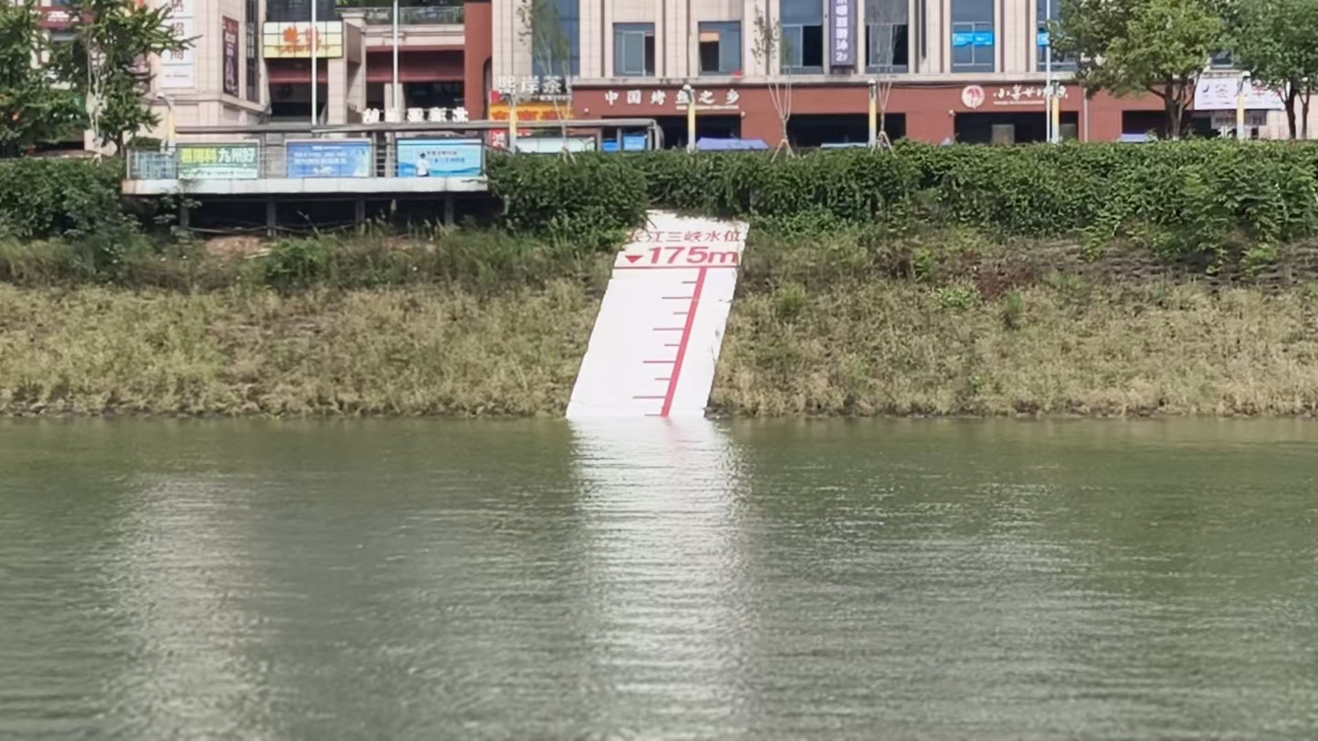 202610042.jpg